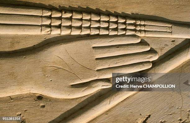 Outdoor museum. Temple of Amon Re at Karnak. East Thebes. Detail of a limestone relief. The hand of the god Amon Re is seen here topped with a...