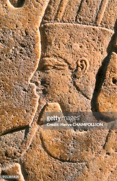 The Chapel of Hatshepsut. The Temple of Amon Re at Karnak. East Thebes. This third photographic detail shows the delicate profile of Amon. The eye is...