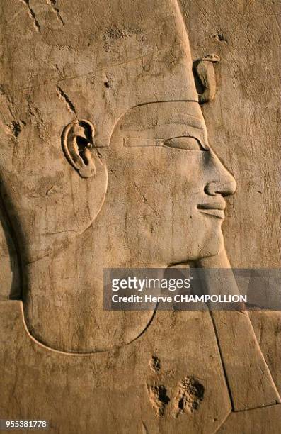 Outdoor museum. Temple of Amon Re at Karnak. East Thebes. This royal profile is sculpted in limestone, a very fragile material. This proud looking...