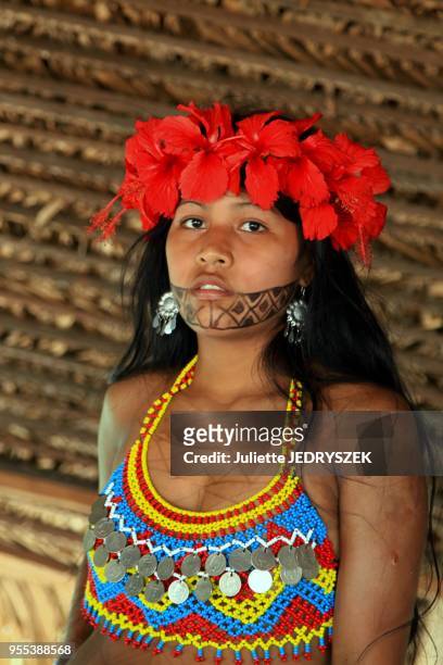 Portrait d'une jeune femme de la tribu Embera près de Colon sur la rivière Gatun, le 16 février 2014, Panama.