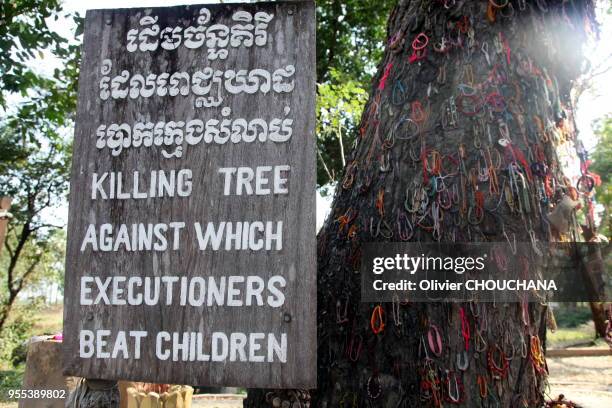 Arbre où etait fracassé le crâne des enfants à Choeung Ek, 21 février 2017, Phnom Penh, Cambodge. Choeung Ek était le principal lieu d'exécution et...