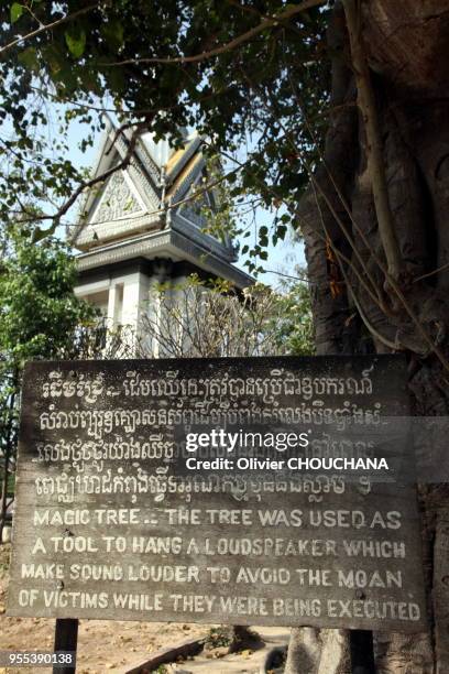 Arbre magique au centre génocidaire de Choeung Ek, 21 février 2017, Phnom Penh, Cambodge. Choeung Ek était le principal lieu d'exécution et charnier...