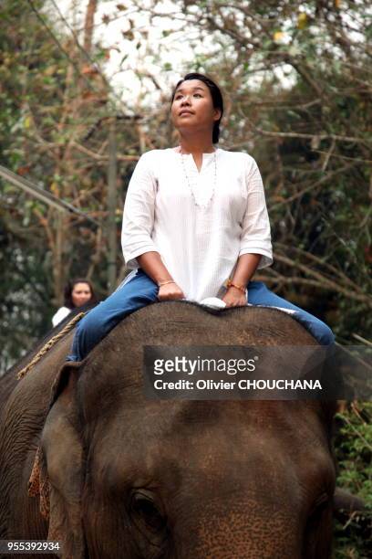 Nouvelle forme originale de yoga se pratiquant sur le dos d'un éléphant et proposé pour le moment uniquement au sein d'Anantara elephant camp resort...