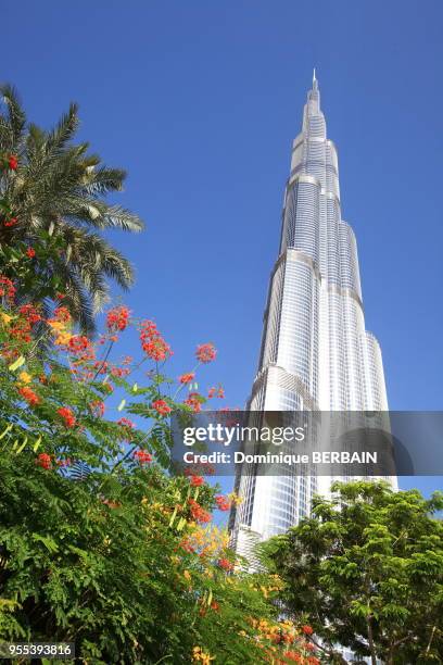 La Burj Khalifa Tower est un gratte-ciel de Dubaï. Elle est la plus haute tour construite par l'homme dans le monde avec une hauteur de 830m. La...