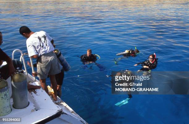 Touristes faisant de la plongée dans la mer Rouge à Charm el-Cheikh, Egypte.