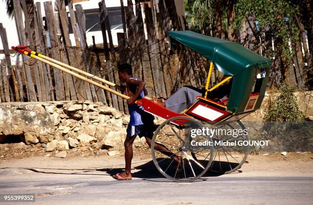 Pousse Pousse 215 Le Pousse Stock Photos, High-Res Pictures, and Images - Getty Images