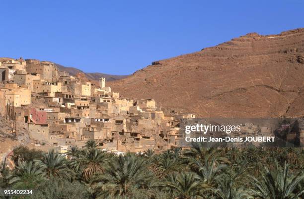 La palmeraie du village de Gdourt, Maroc.