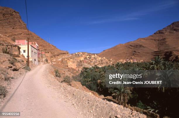 La palmeraie du village de Gdourt, Maroc.