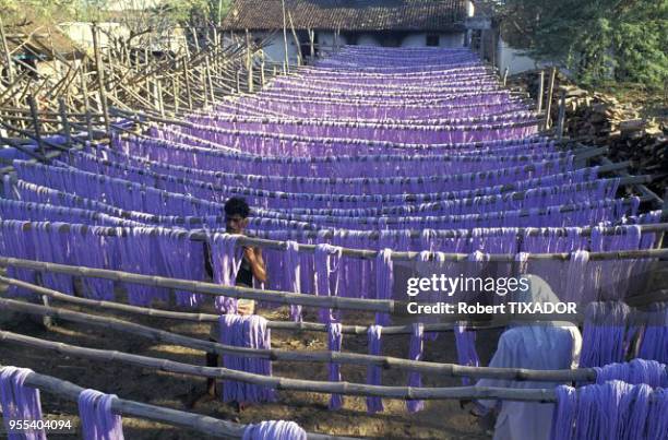 Kerala, teinture végétale à Kanchipuram.