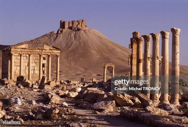 Temple funéraire et colonnade devant le château Qalat ibn Maan, dans la cité antique de Palmyre, Syrie.