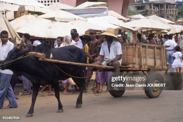 Charrette sur le marché à Hell-Ville, sur l'île de Nosy Be, Madagascar.