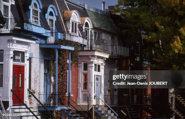 Maisons d'un quartier résidentiel à Montréal, Canada.