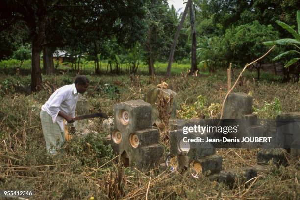 Stèles en tourbe incrustées d'assiettes dans un cimetière traditionnel sur l'île d'Unguja, dans l'archipel de Zanzibar, Tanzanie.