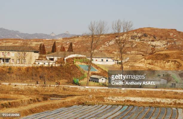 Residential structures by trees with mountain range in the background, Panmunjom, Democratic People's Republic of Korea.