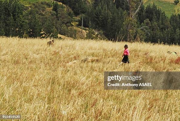 View of small indian girl with large black hat in dry fields, Quilotoa, Ecuador View of small indian girl with large black hat in dry fields, Quilotoa, Ecuador