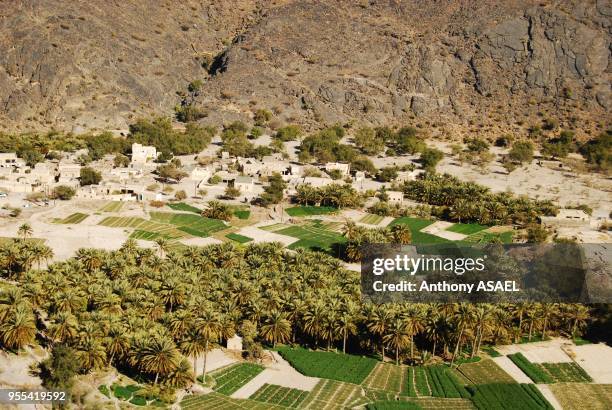 Beautiful green fields, traditional sun-baked houses and palm trees plantations in the village of Hatt, located at the bottom of Wadi Bani Awf, Hatt,...