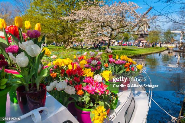 boat with flower pots at keukenhof gardens netherlands - keukenhof gardens stock pictures, royalty-free photos & images