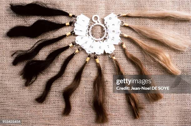 Echantillons de cheveux dans une fabrique d'extensions capillaires à Tirupati, Inde.