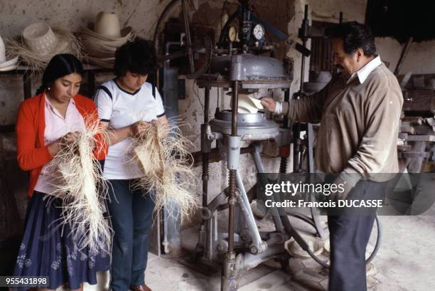 Fabrication de chapeaux panamas à Cuenca, Equateur.