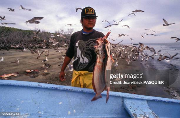 Pêcheur sur la plage de Puerto Adolfo Lopez Mateos, en Basse-Californie du Sud, MExique?.