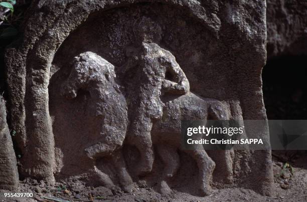 Sculpture de l'amphithéâtre romain de Tipasa de Maurétanie, à Tipaza, Algérie.