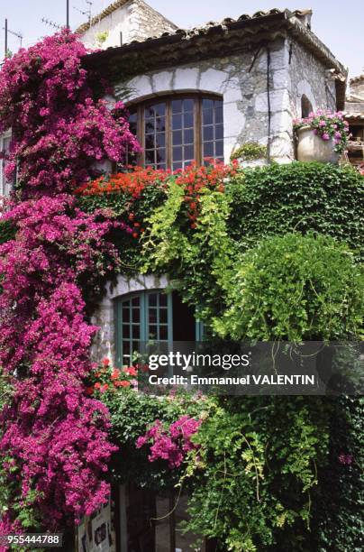 Façade fleurie d'une maison de Saint-Paul-de-Vence, dans les Alpes-Maritimes, France.