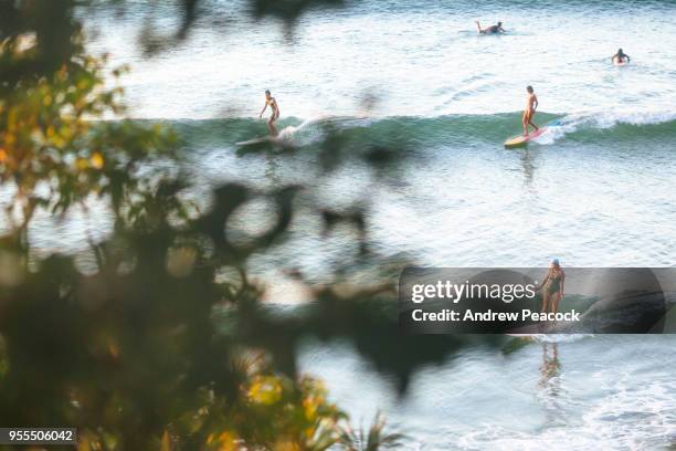 surfers riding waves at little cove. - sunshine coast australië stockfoto's en -beelden