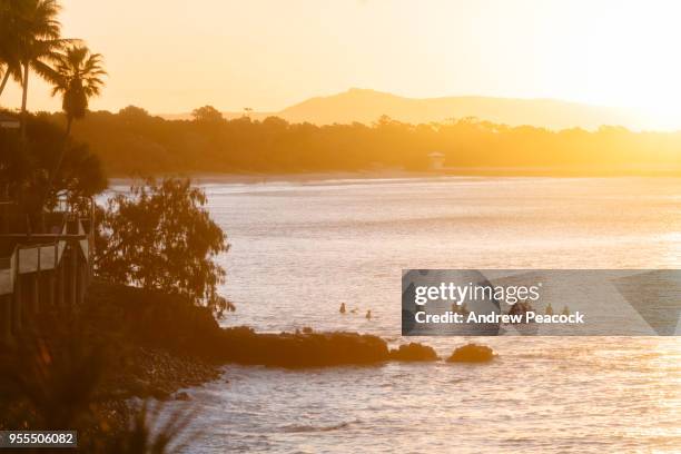many surfers waiting for a wave at sunset at first point - noosa heads stock pictures, royalty-free photos & images