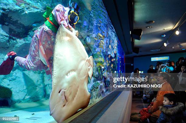 Kimono-clad female diver swims with fish during the new year feeding show at Tokyo's Sunshine International Aquarium on January 3, 2010. The aquarium...