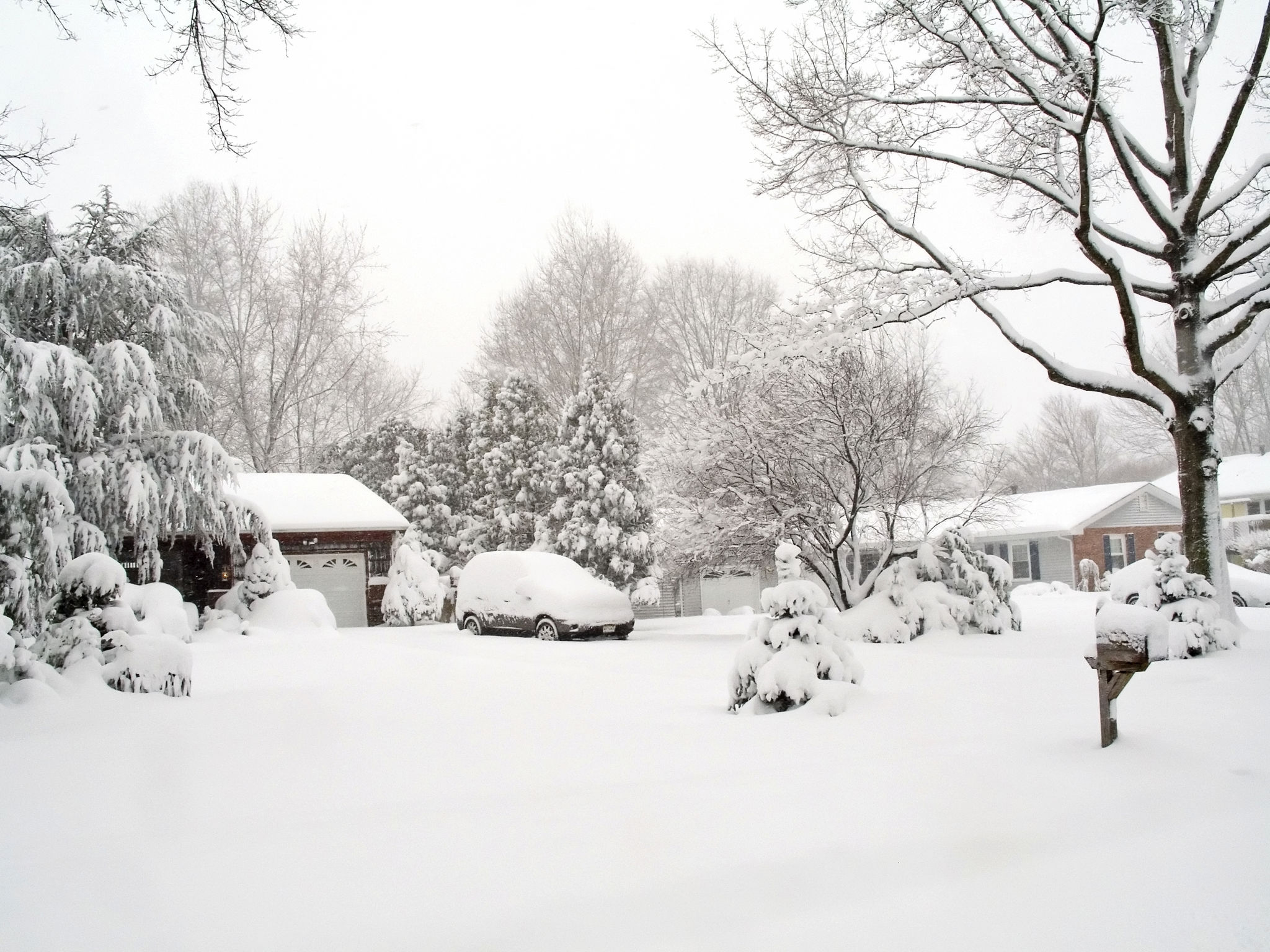 snow covered lawn