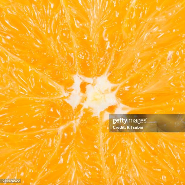 macro photo of an orange for backgrounds - pith bildbanksfoton och bilder