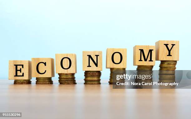 economy text written on wooden block with stacked coins - wooden block stockfoto's en -beelden