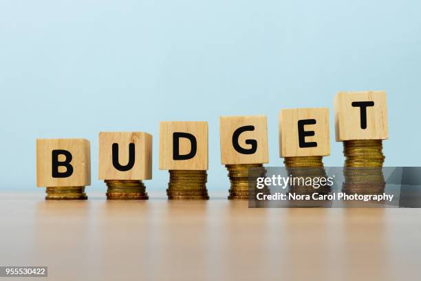 budget text written on wooden block with stacked coins - fiscal year 個照片及圖片檔