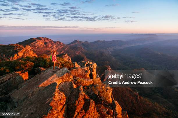 a woman is standing on st mary peak at sunrise, the highest point in the flinders ranges national park, south australia - 澳洲南部 個照片及圖片檔