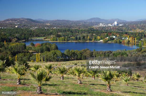 view from national arboretum canberra to lake burley griffin, molonglo valley, canberra, australian capital territory, australia - ワシントンヤシ属 ストックフォトと画像
