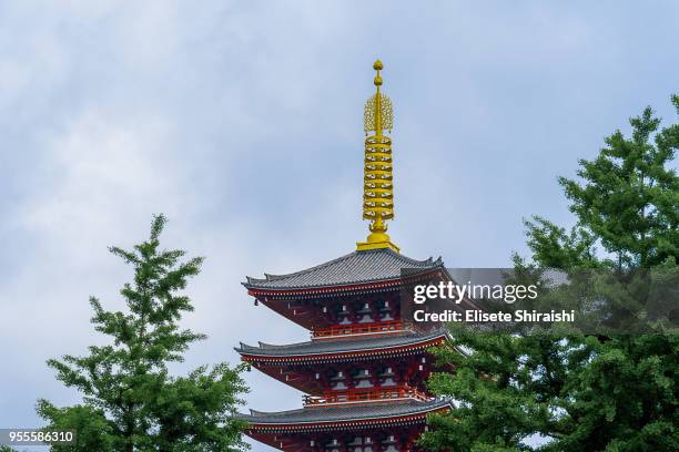 pagode in asakusa, tokyo - elisete shiraishi stock pictures, royalty-free photos & images