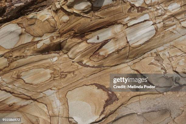 Point Reyes Rock Types 165 Point Reyes Lighthouse Stock Photos, High-Res Pictures, and Images ...