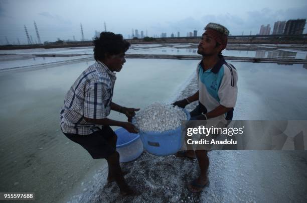 Indian salt lake workers carry salt in basins collected at a salt pan in Mumbai, India on May 07, 2018.