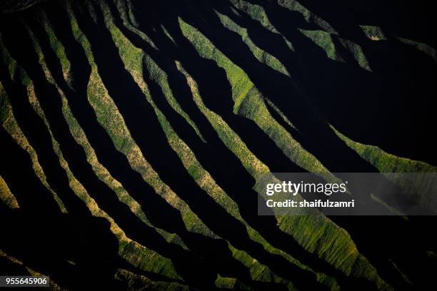 side view of mount batok (2,470m), though lying adjacent to mount bromo. with a perfect triangular mountain top, rising from a sea of volcanic ash surrounding the mount bromo caldera. east java of indonesia. - 470 2018 stock pictures, royalty-free photos & images