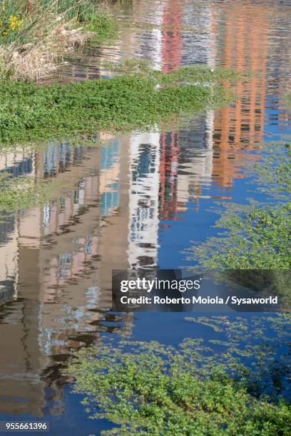 houses reflected in water, girona, spain - fiume onyar foto e immagini stock