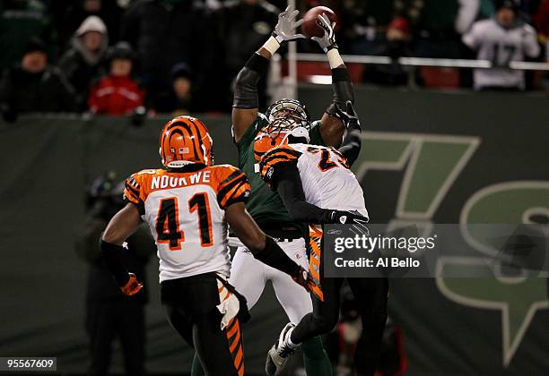 Braylon Edwards of the New York Jets misses a catch against the Cincinnati Bengals at Giants Stadium on January 3, 2010 in East Rutherford, New...