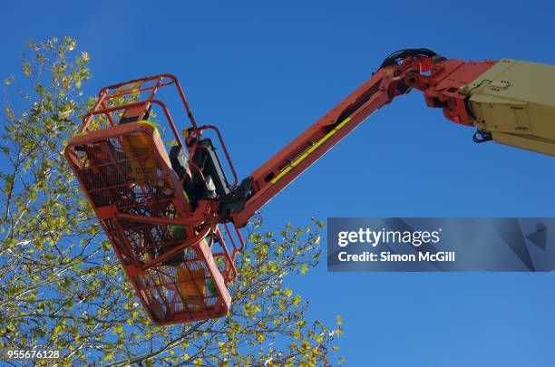 construction crane basket near the canopy of a tree - nacelle élévatrice photos et images de collection