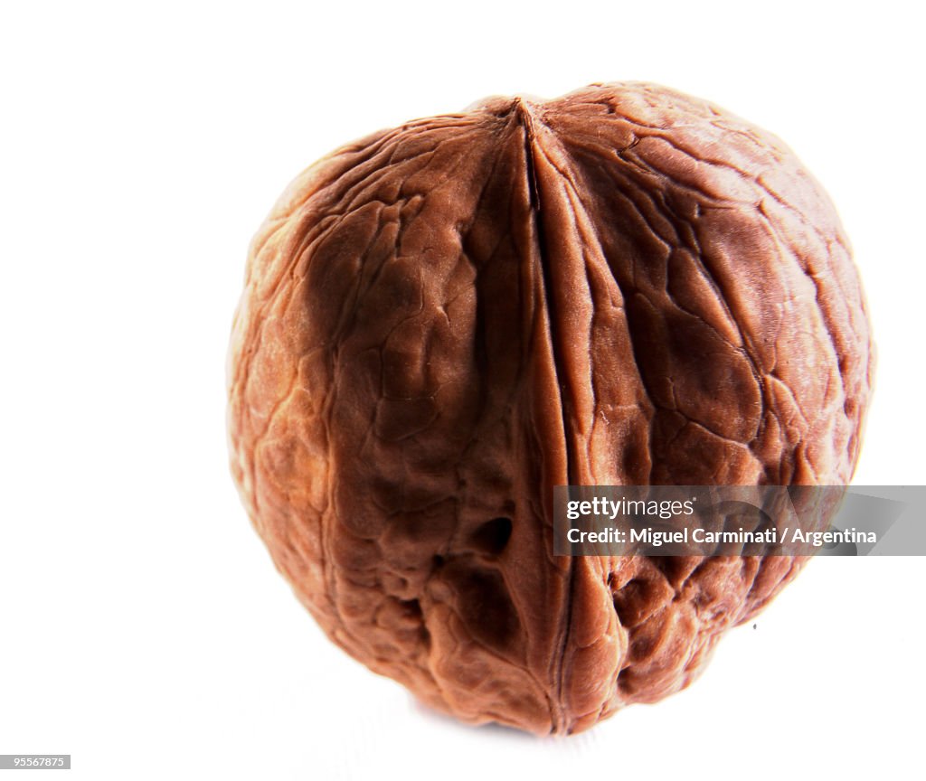 Walnut with white background