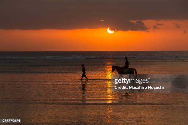 horse riding at the evening beach, gili trawangan, indonesia - gili trawangan stockfoto's en -beelden