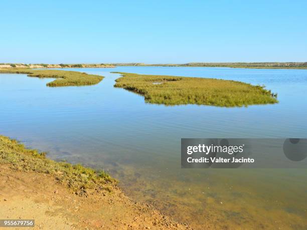ria formosa natural park, algarve, portugal - almancil location stock pictures, royalty-free photos & images