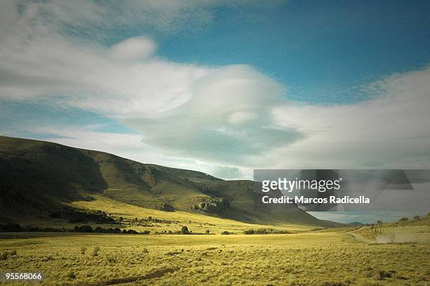 steppe in patagonia - radicella stockfoto's en -beelden