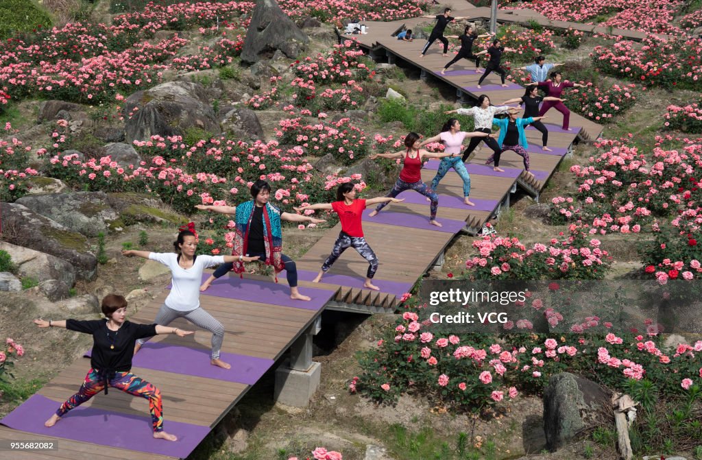 People Do Yoga At Sea Of Roses In Lishui