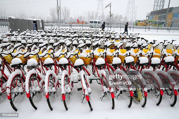 Bicycles are covered by smow on January 3, 2010 in Beijing, China. The biggest snowfall in nearly 60 years has blanketed Beijing as snow storms hit...