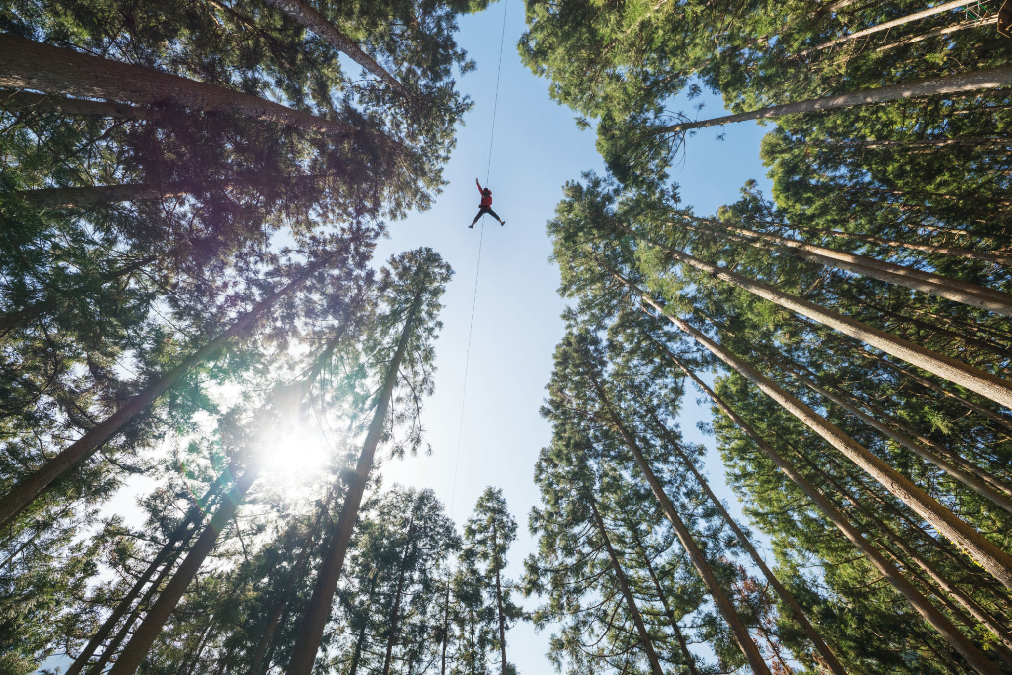 zipline adventure