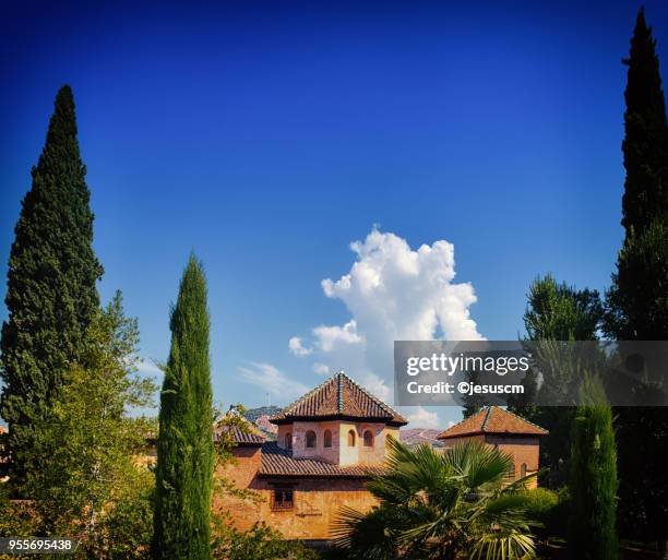 palaces of the alhambra - recuerdos stock-fotos und bilder